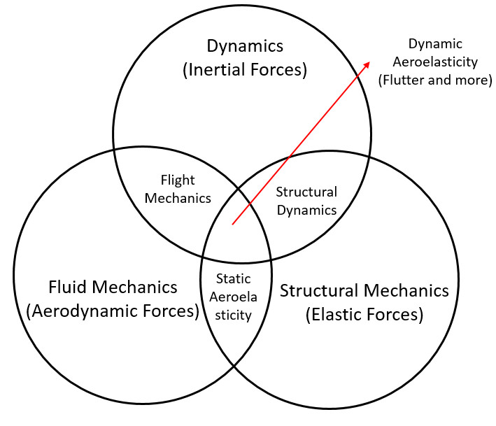 interaction of aerodynamic, inertial, and elastic forces